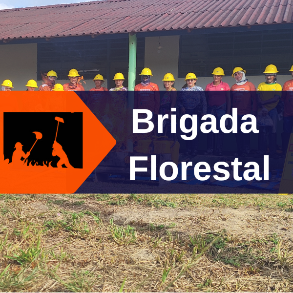 _CURSO brigada florestal