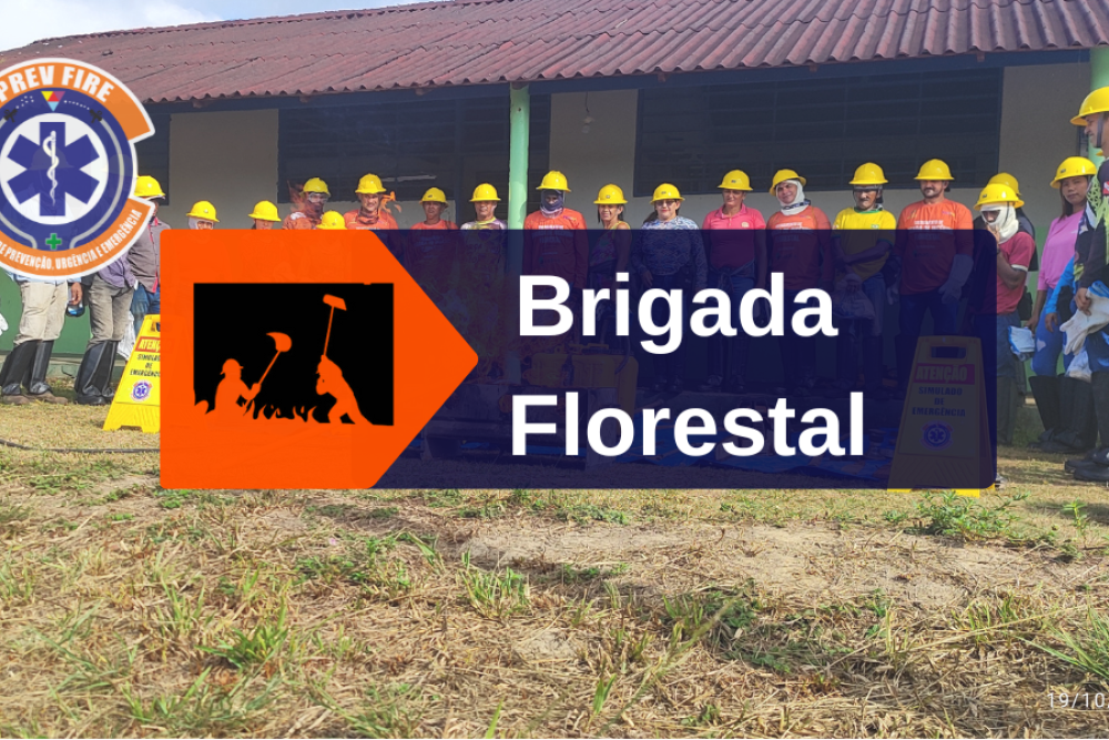 _CURSO brigada florestal